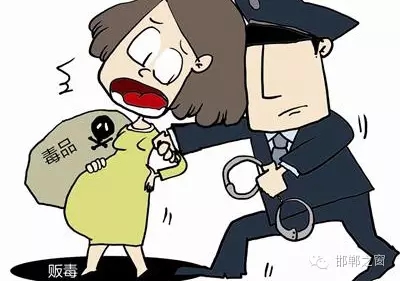 2016年初，涉縣警方查獲一起涉毒案件，鑒于該案涉案人員多、毒品交易量大，涉縣警方立即將案情上報，被公安部確立為“目標-2016-314”號毒品案件。涉縣警方成立專案組，經(jīng)過多方追查，先后抓獲團伙人員13名，繳獲毒品5349克，并查明上線“濮姐”的真實身份為陳某。